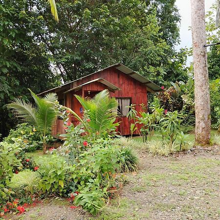 Citronela Lodge Corcovado Drakes Bay Kültér fotó