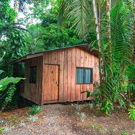 Citronela Lodge Corcovado Drakes Bay Kültér fotó