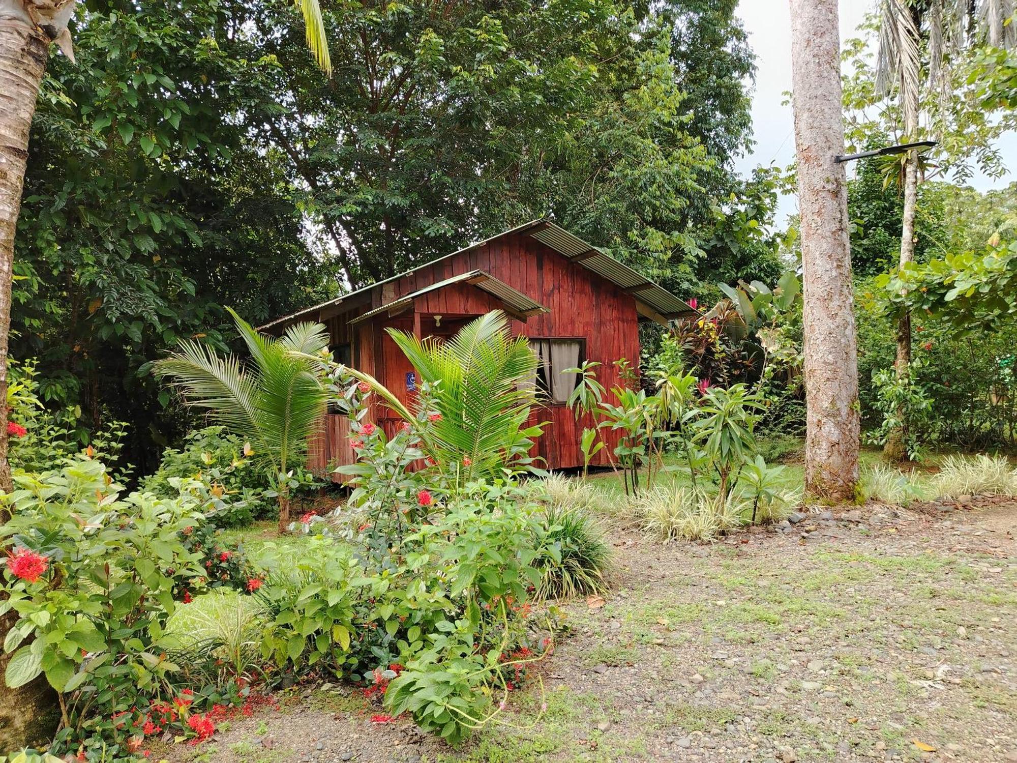 Citronela Lodge Corcovado Drakes Bay Kültér fotó