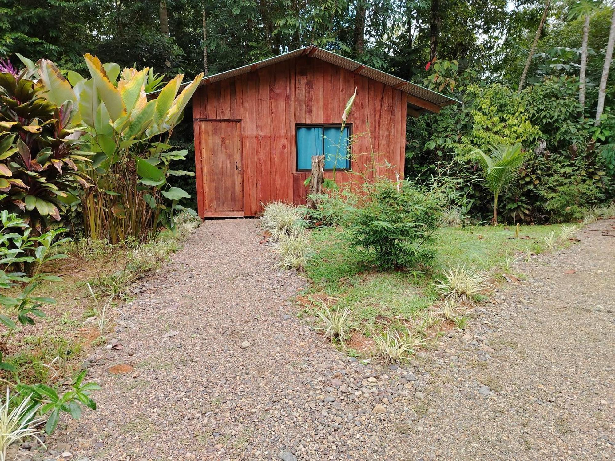 Citronela Lodge Corcovado Drakes Bay Kültér fotó