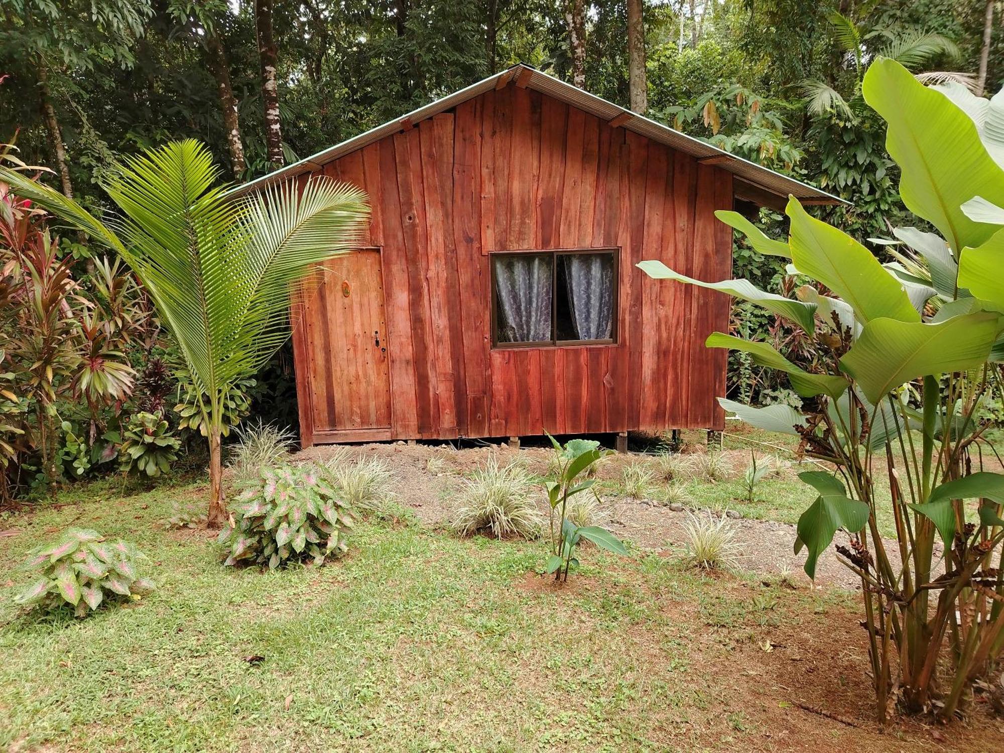 Citronela Lodge Corcovado Drakes Bay Kültér fotó