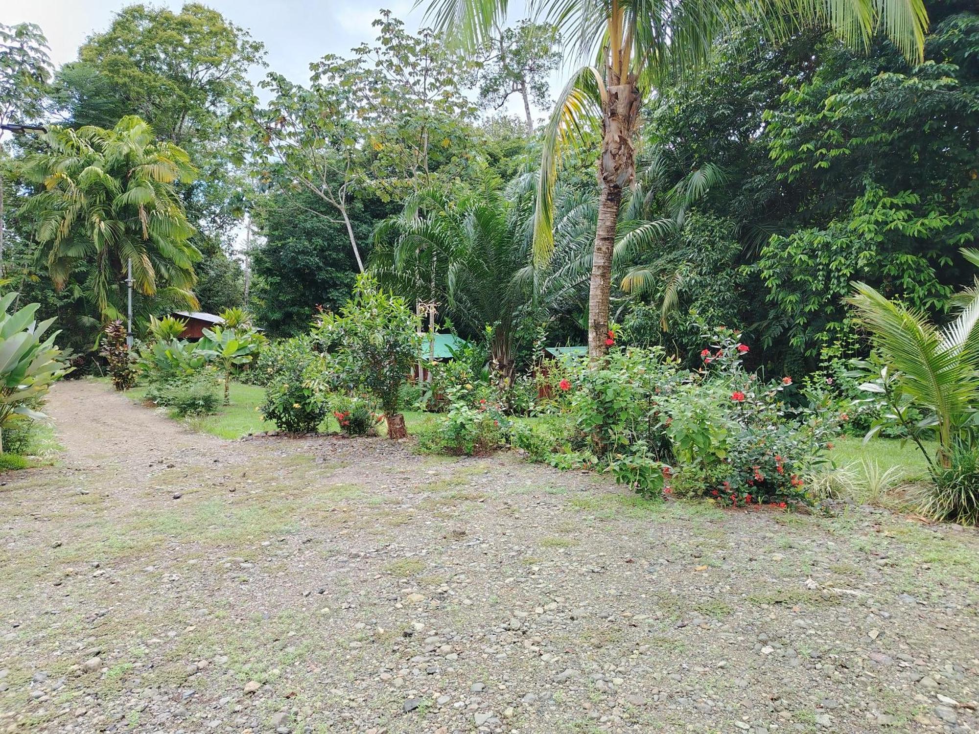 Citronela Lodge Corcovado Drakes Bay Kültér fotó