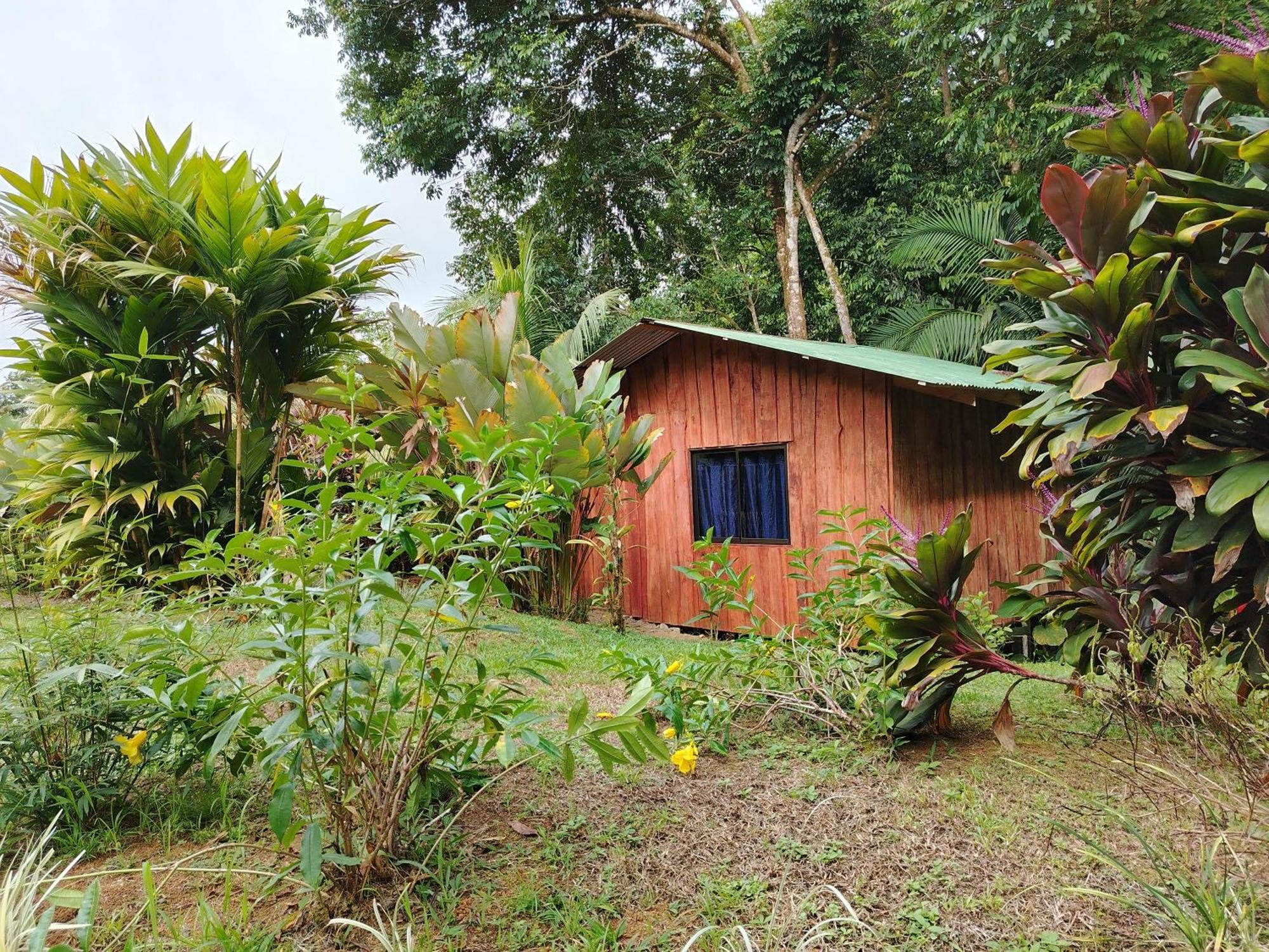 Citronela Lodge Corcovado Drakes Bay Kültér fotó