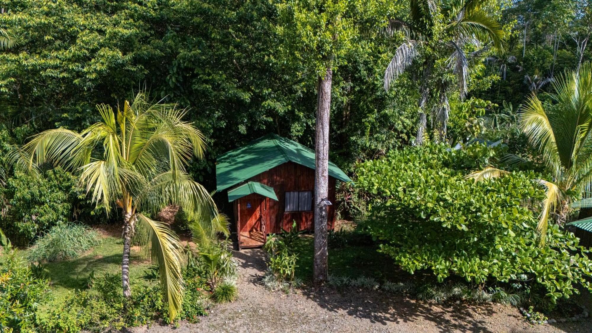 Citronela Lodge Corcovado Drakes Bay Kültér fotó