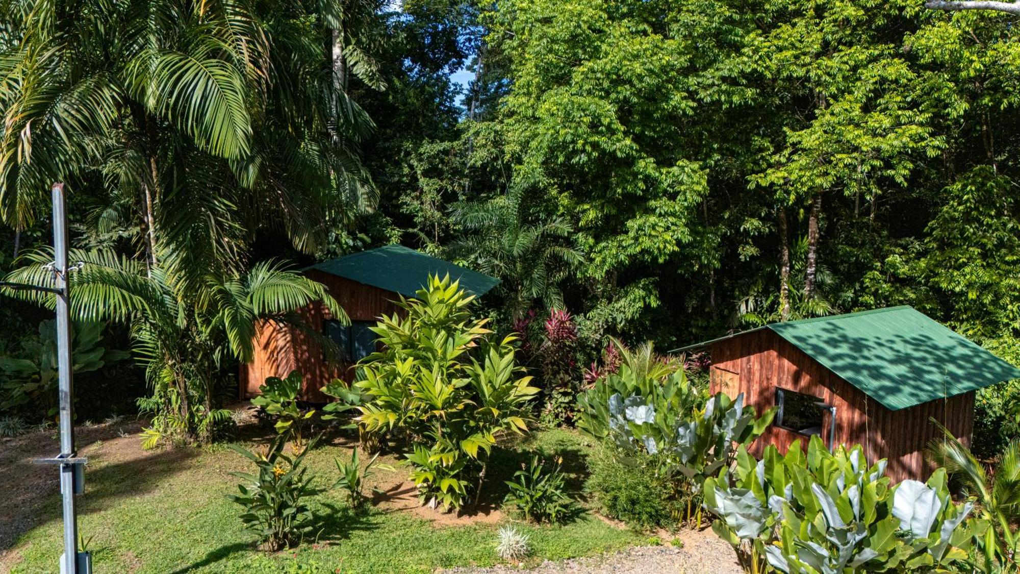 Citronela Lodge Corcovado Drakes Bay Kültér fotó