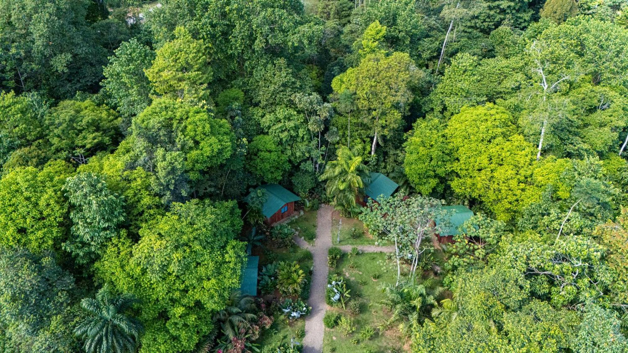 Citronela Lodge Corcovado Drakes Bay Kültér fotó