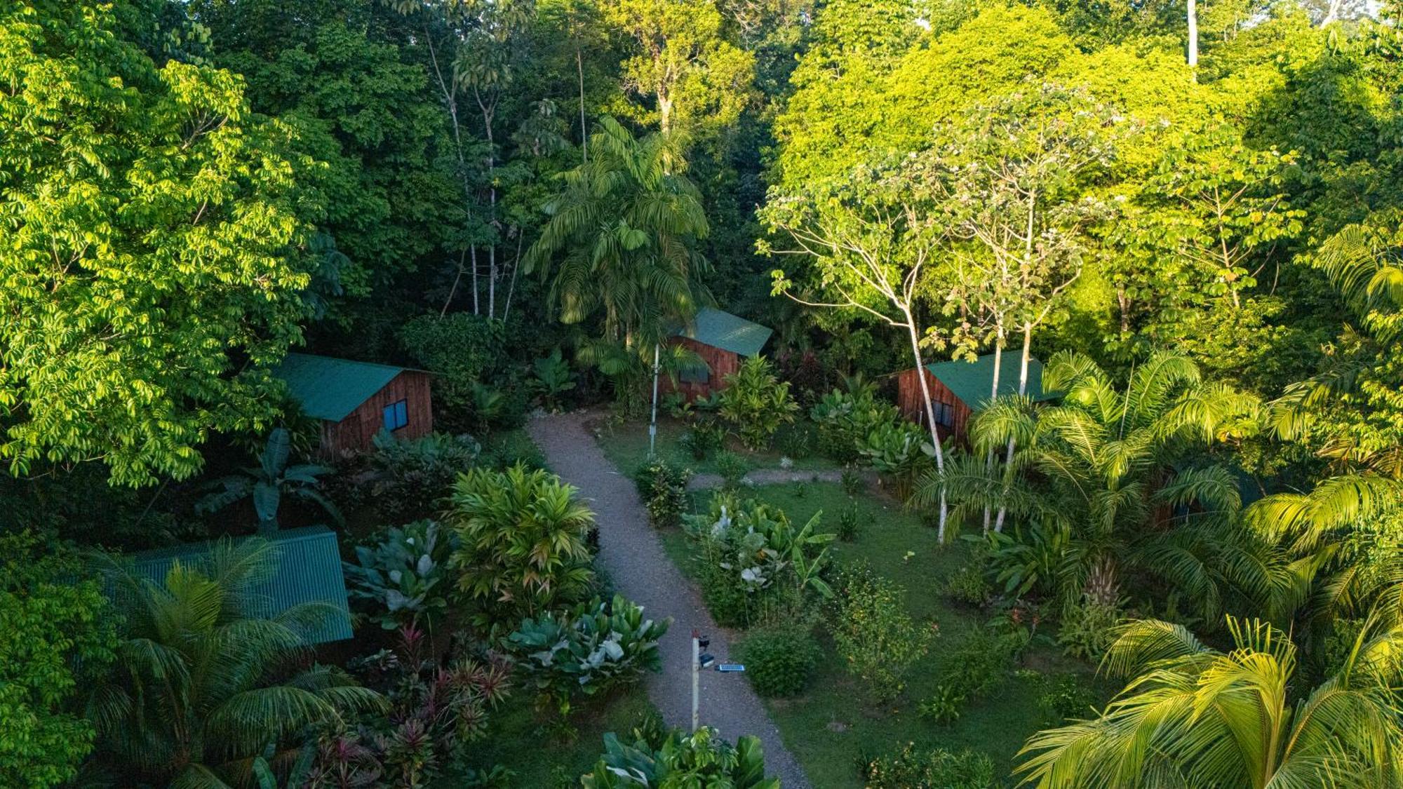 Citronela Lodge Corcovado Drakes Bay Kültér fotó