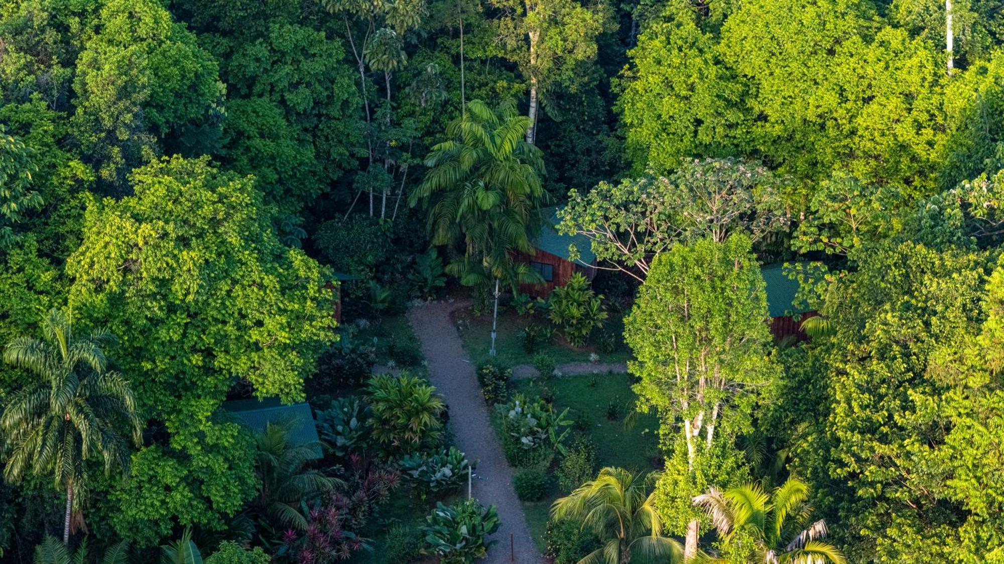 Citronela Lodge Corcovado Drakes Bay Kültér fotó