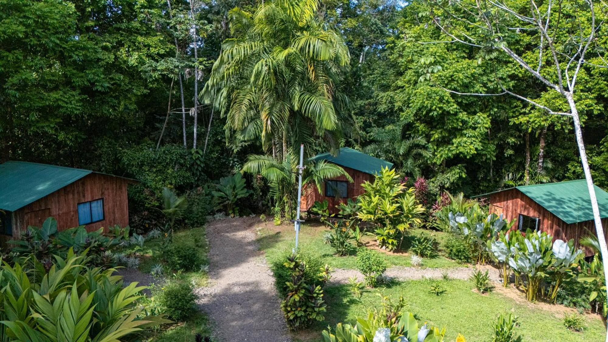 Citronela Lodge Corcovado Drakes Bay Kültér fotó