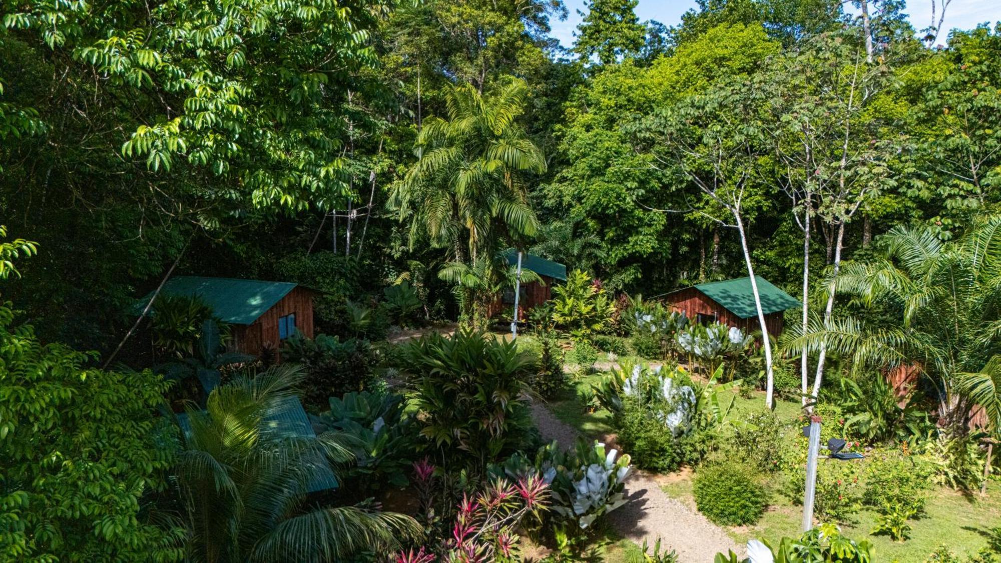 Citronela Lodge Corcovado Drakes Bay Kültér fotó