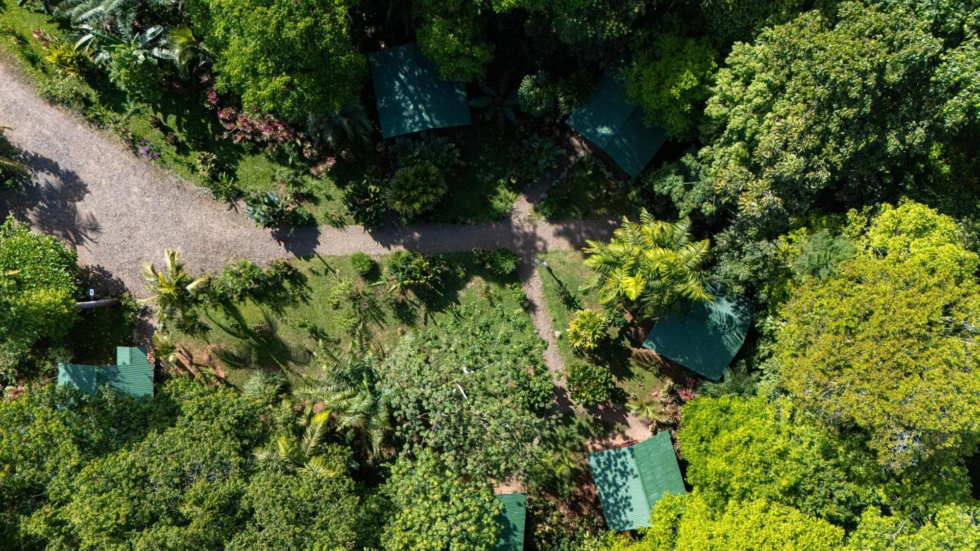 Citronela Lodge Corcovado Drakes Bay Kültér fotó