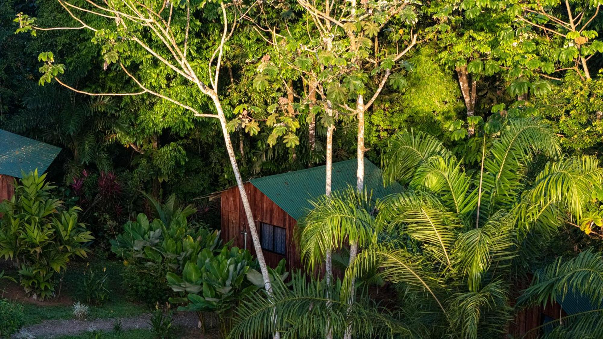 Citronela Lodge Corcovado Drakes Bay Kültér fotó