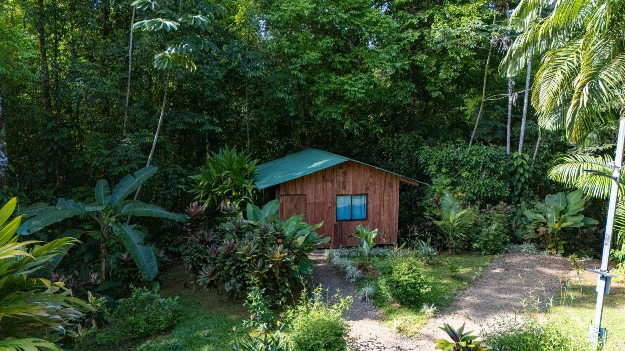 Citronela Lodge Corcovado Drakes Bay Kültér fotó