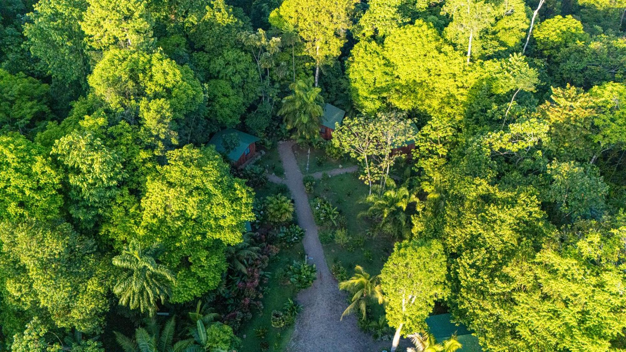Citronela Lodge Corcovado Drakes Bay Kültér fotó