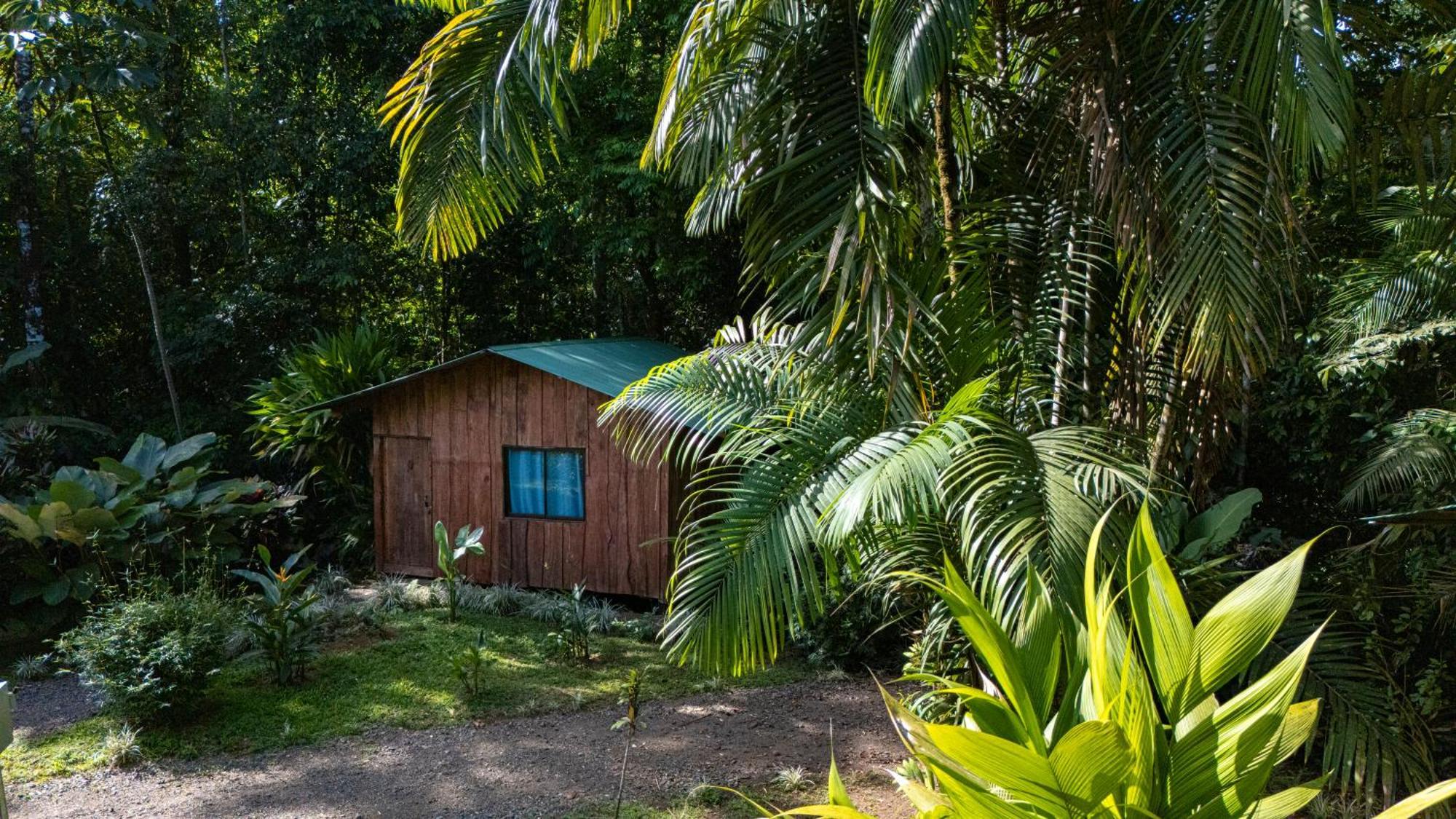 Citronela Lodge Corcovado Drakes Bay Kültér fotó