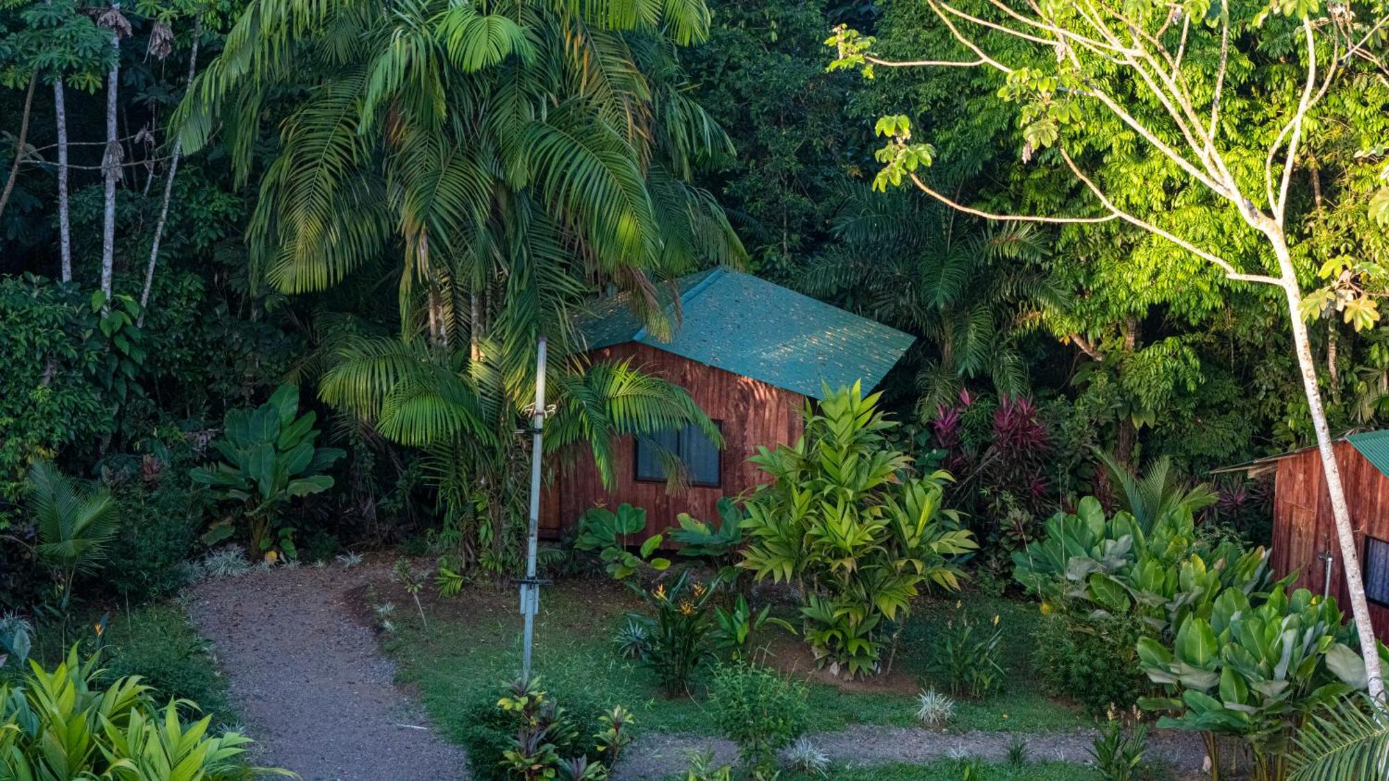 Citronela Lodge Corcovado Drakes Bay Kültér fotó