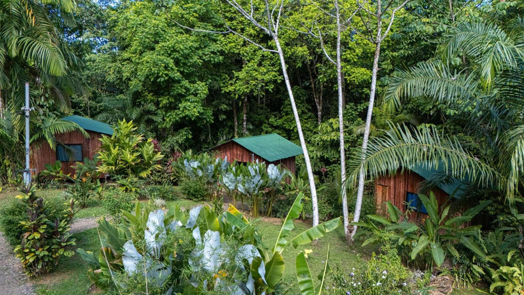 Citronela Lodge Corcovado Drakes Bay Kültér fotó