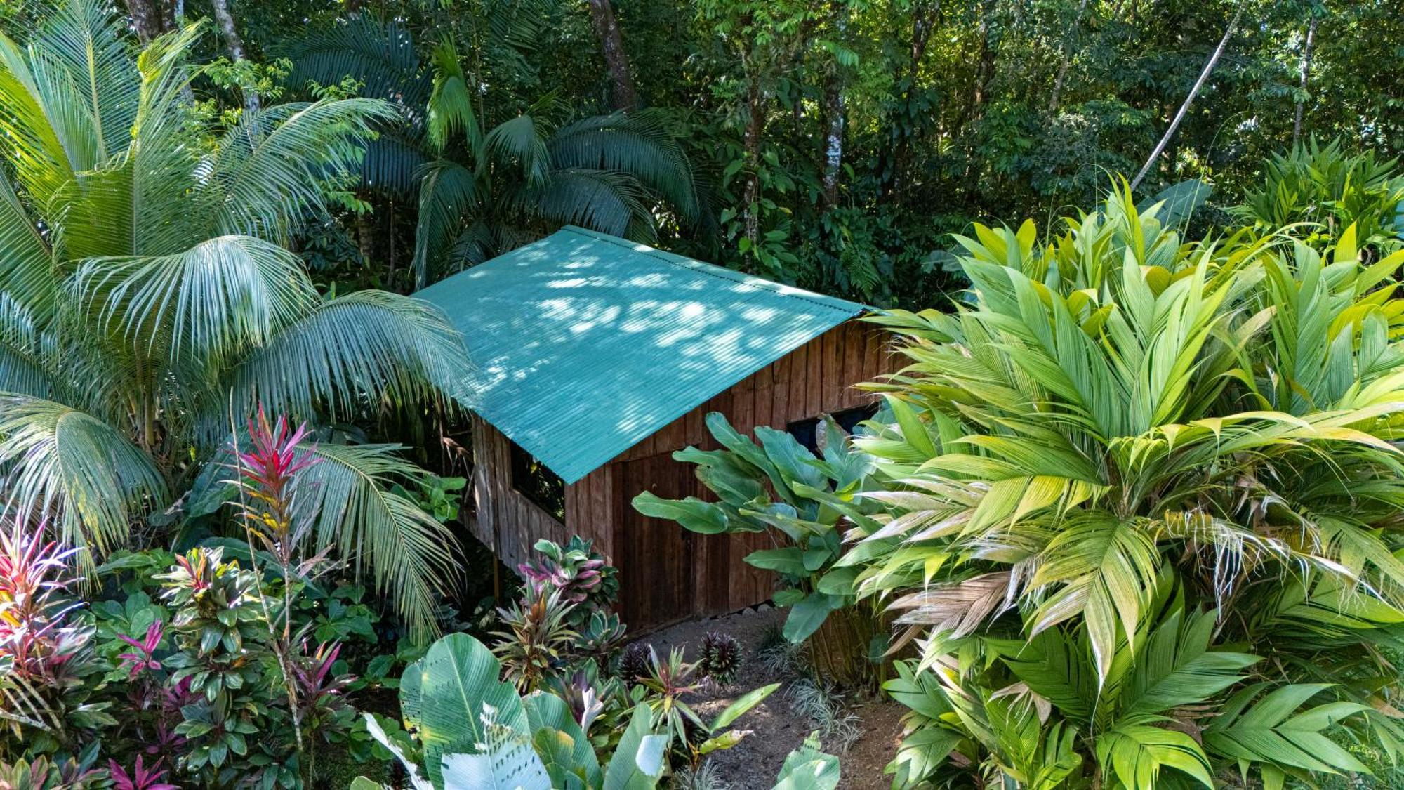 Citronela Lodge Corcovado Drakes Bay Kültér fotó