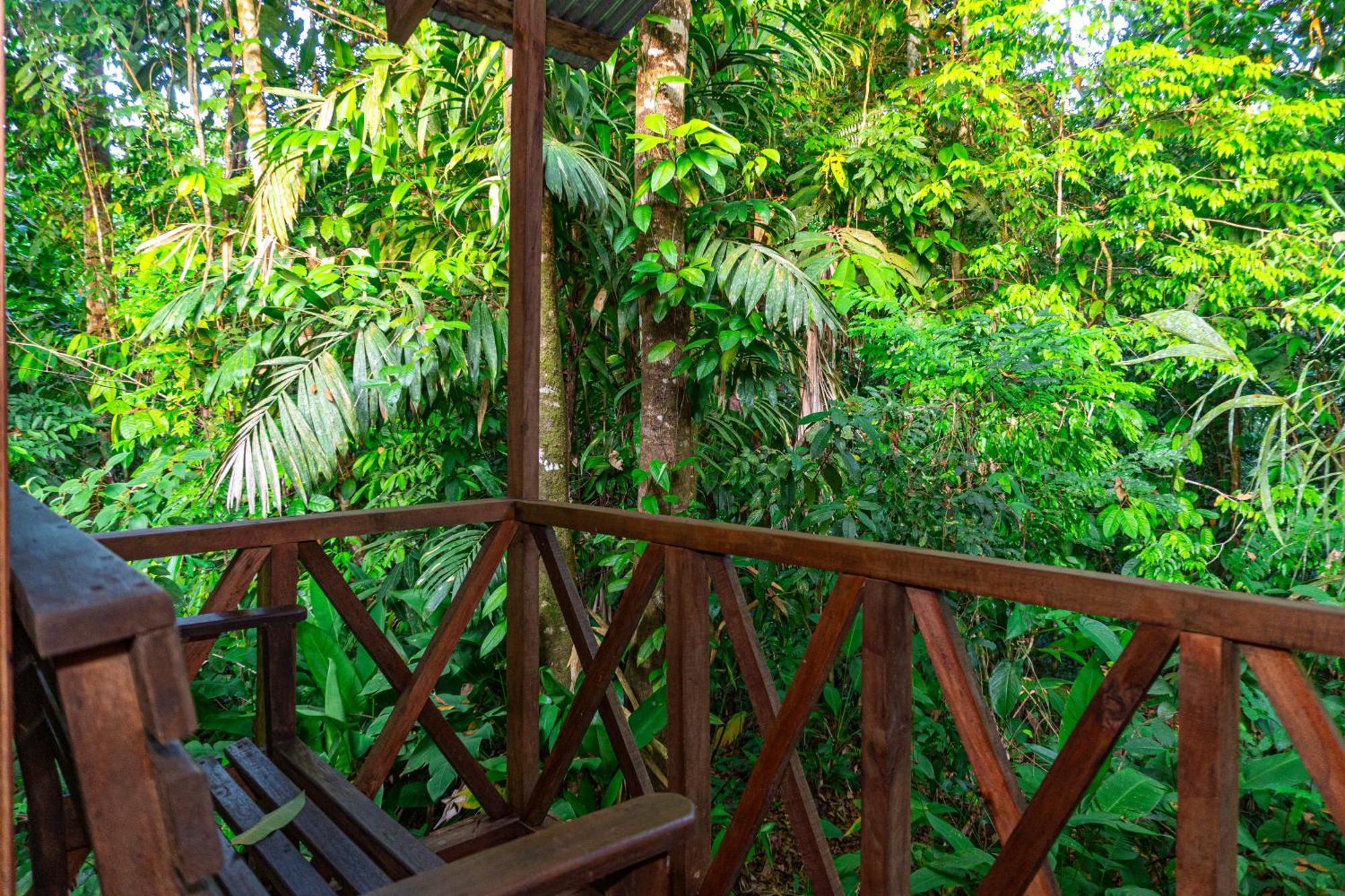 Citronela Lodge Corcovado Drakes Bay Kültér fotó