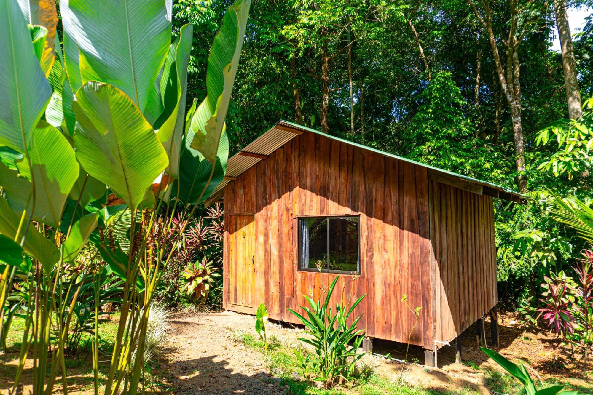 Citronela Lodge Corcovado Drakes Bay Kültér fotó
