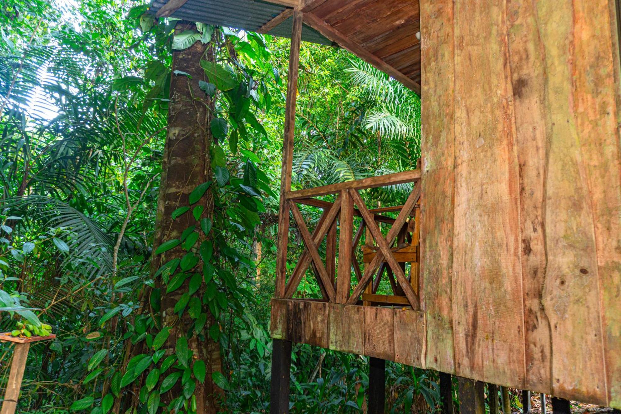 Citronela Lodge Corcovado Drakes Bay Kültér fotó
