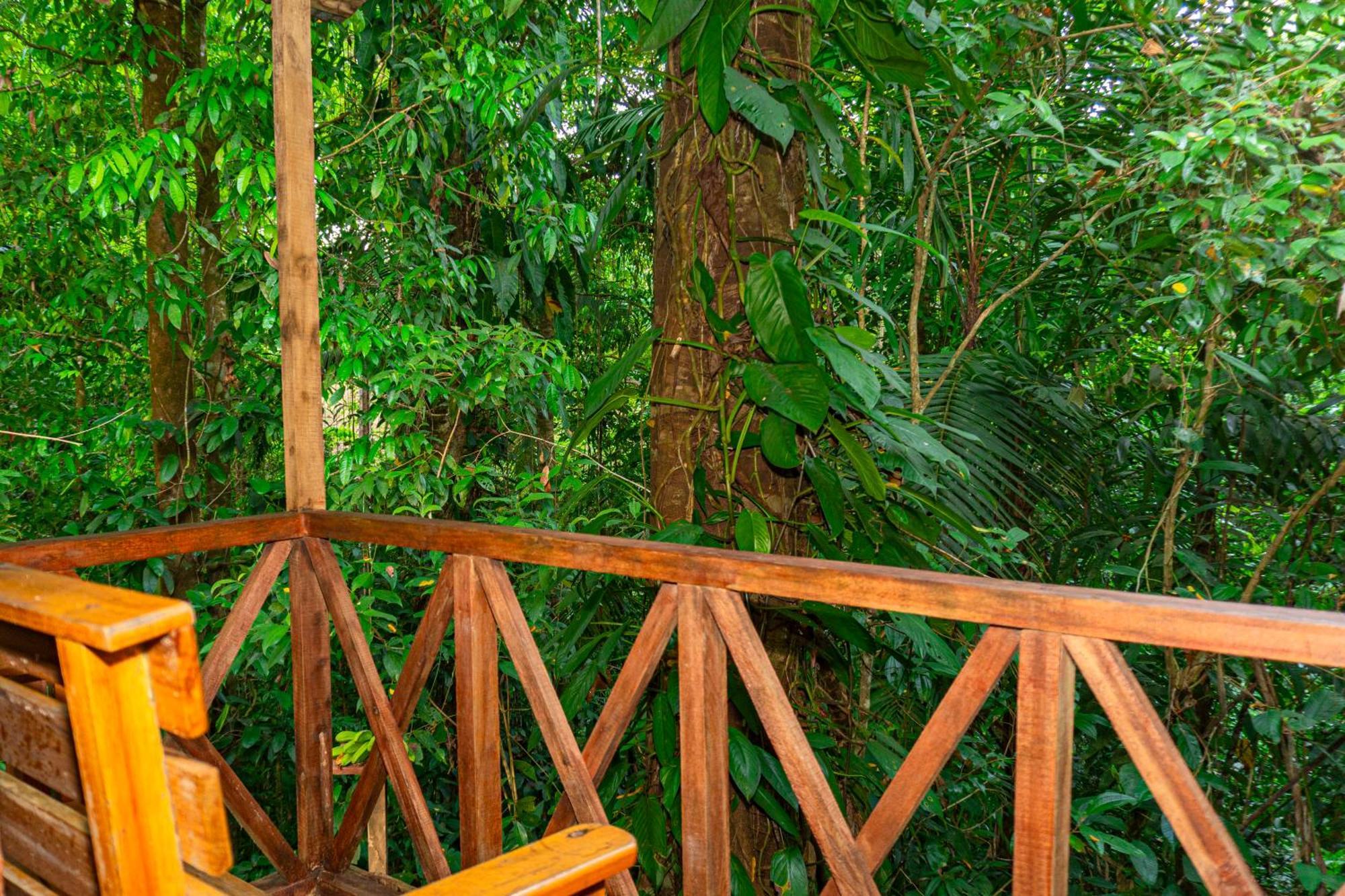 Citronela Lodge Corcovado Drakes Bay Kültér fotó