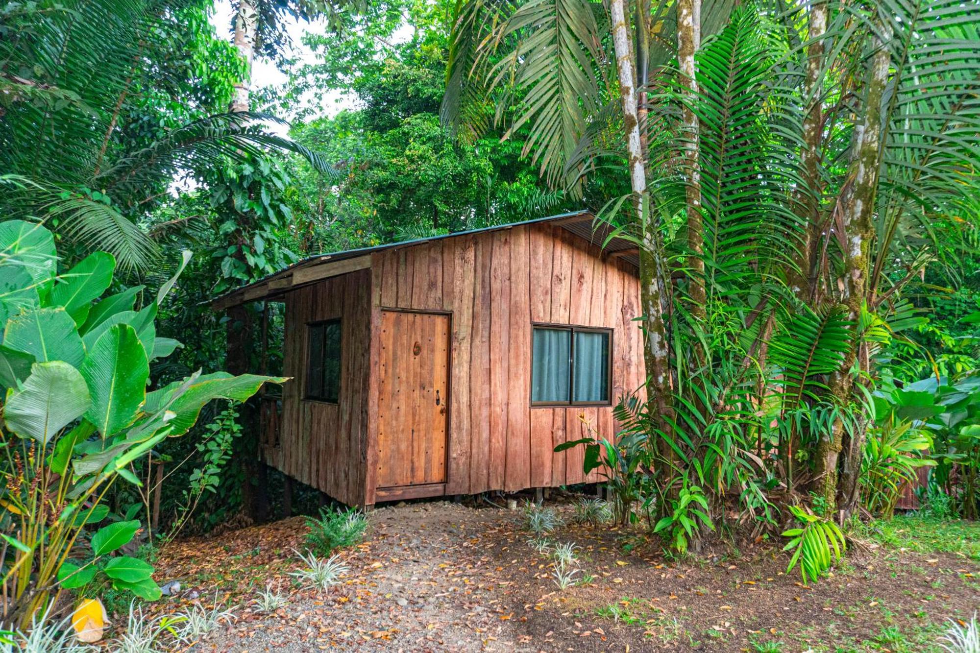 Citronela Lodge Corcovado Drakes Bay Kültér fotó
