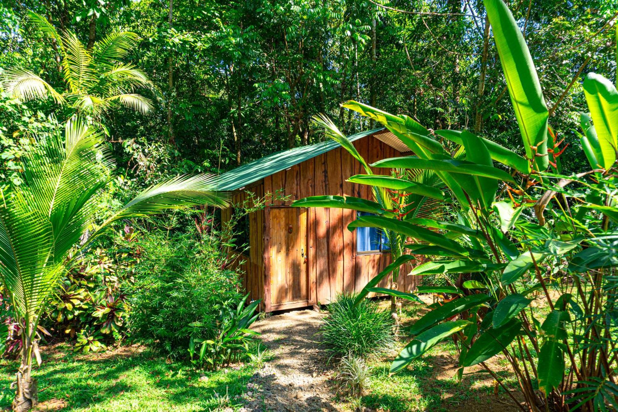 Citronela Lodge Corcovado Drakes Bay Kültér fotó
