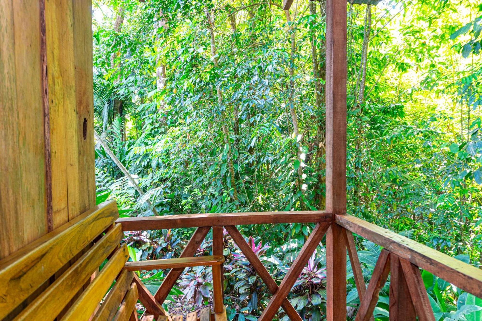 Citronela Lodge Corcovado Drakes Bay Kültér fotó