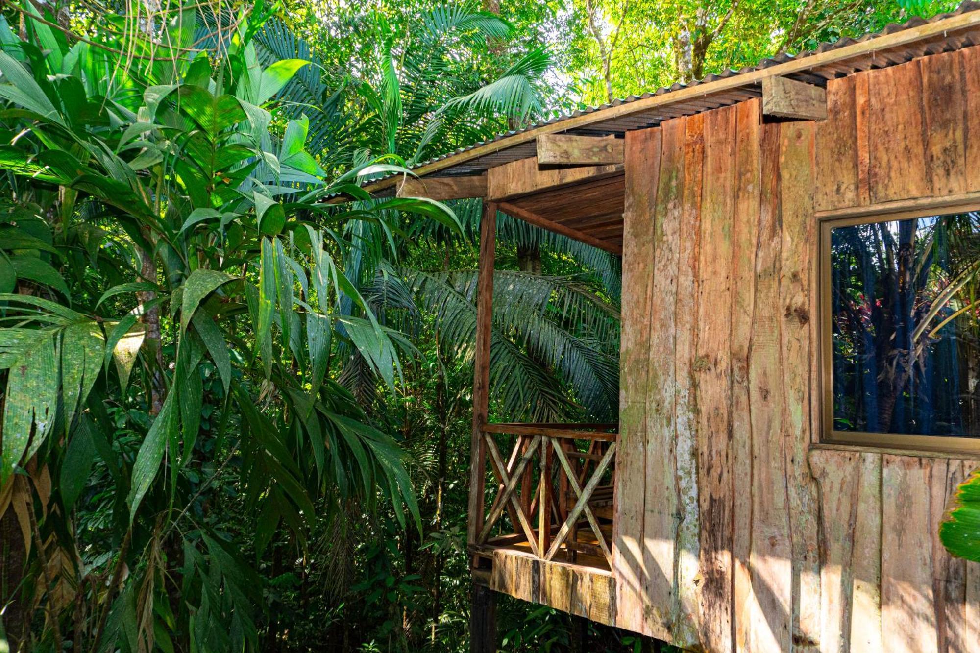 Citronela Lodge Corcovado Drakes Bay Kültér fotó