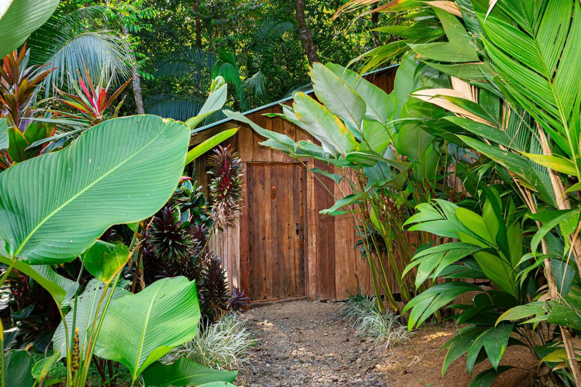 Citronela Lodge Corcovado Drakes Bay Kültér fotó