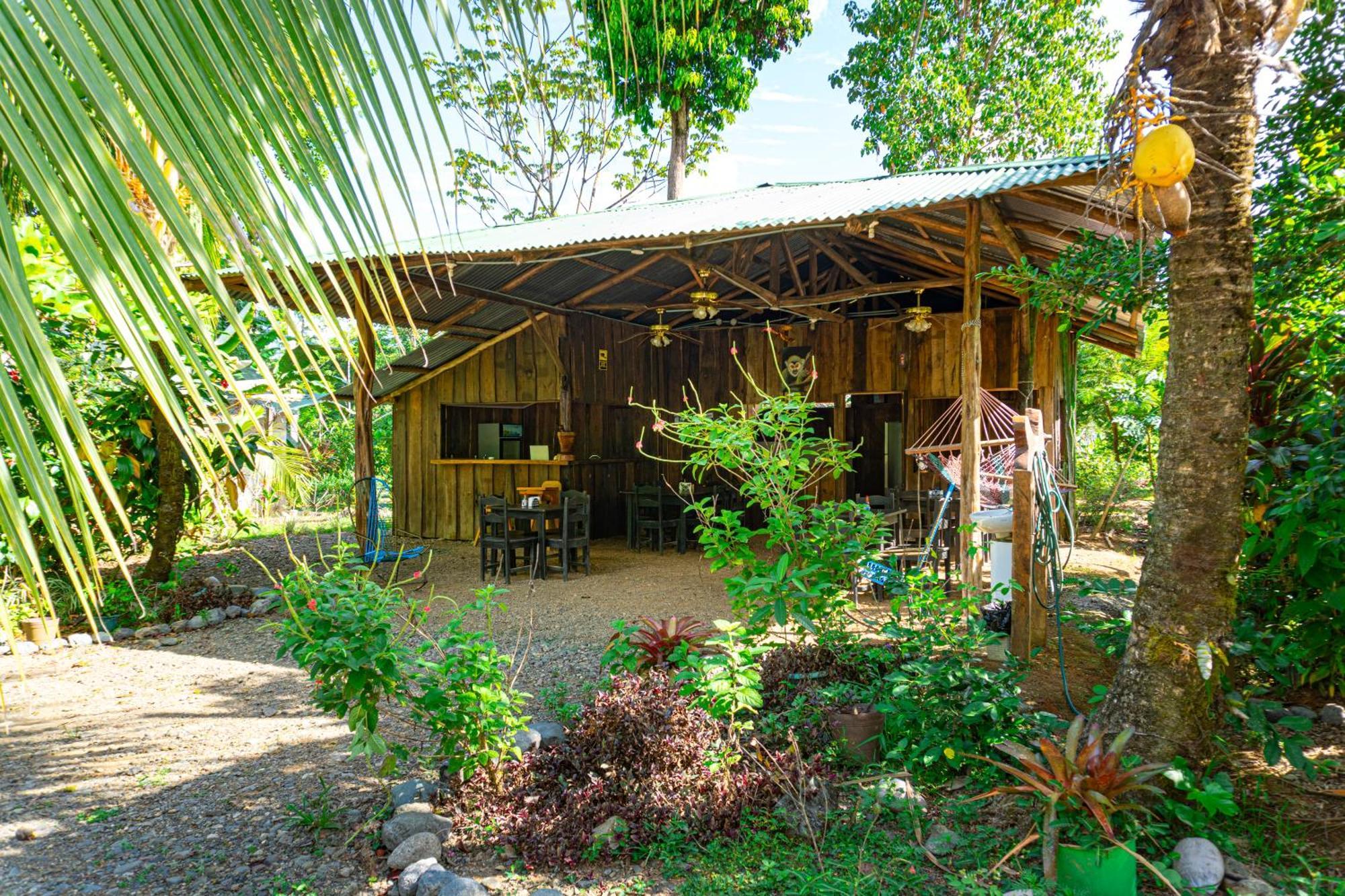 Citronela Lodge Corcovado Drakes Bay Kültér fotó