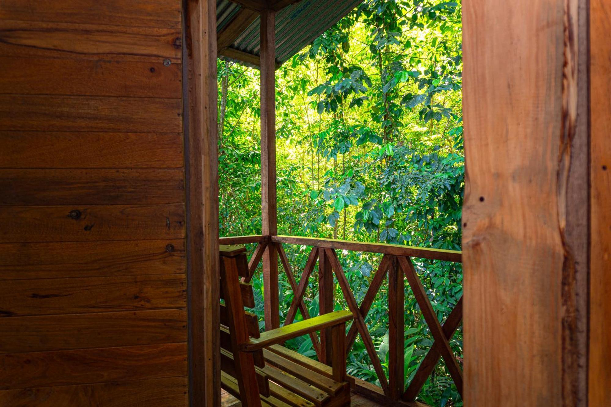 Citronela Lodge Corcovado Drakes Bay Kültér fotó