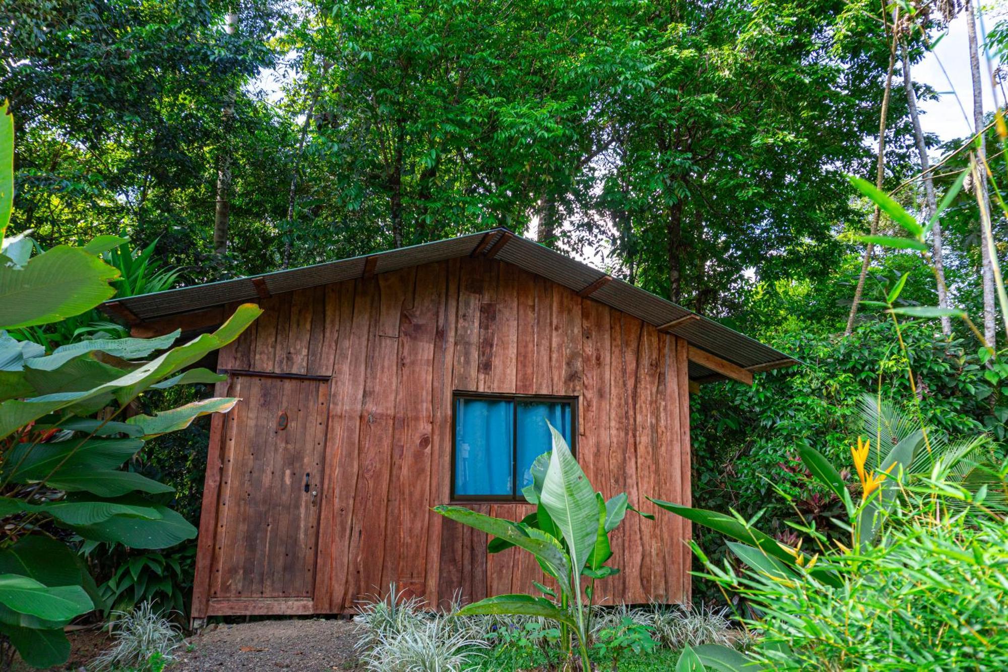 Citronela Lodge Corcovado Drakes Bay Kültér fotó